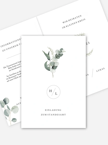 Scandi Eucalyptus Scandi Eucalyptus