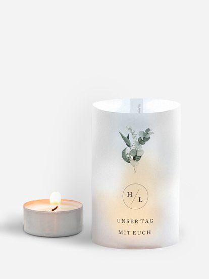 Scandi Eucalyptus Scandi Eucalyptus