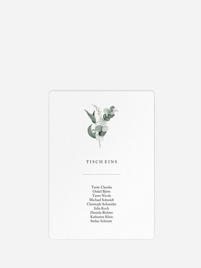 Scandi Eucalyptus Scandi Eucalyptus