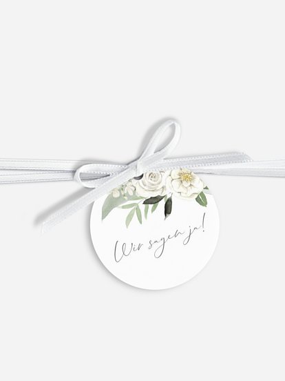 White Roses White Roses