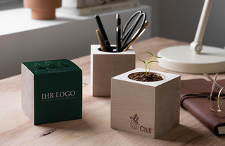 Chili-Pflanze im Holzwürfel